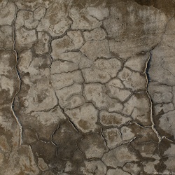 dailyPhoto6